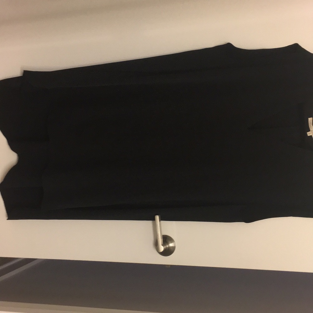 Sleeveless Black V neck Rachel Roy dress.